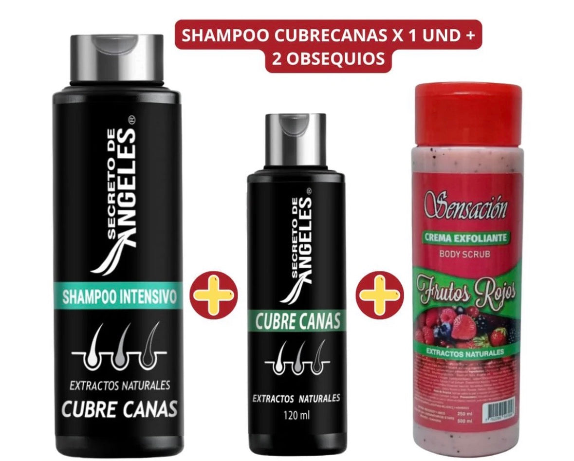Shampoo para canas
