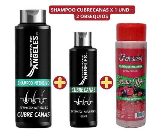 Shampoo para canas