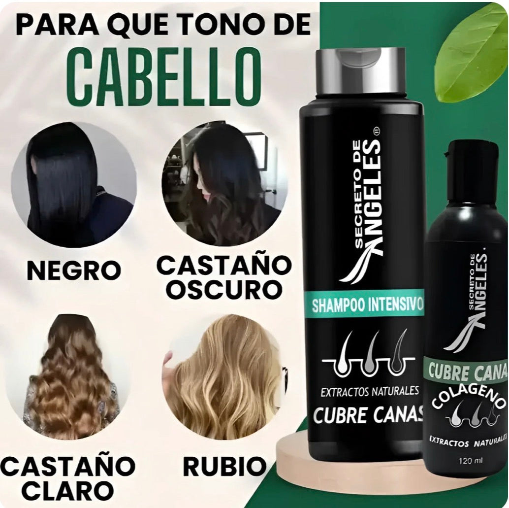Shampoo para canas